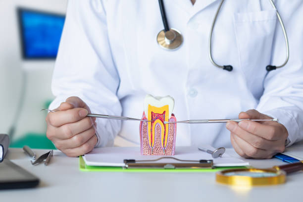 Best Emergency Dentist for Lost Fillings or Crowns in Blue Island, IL